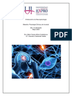 Actividad 1 Introducción A La Neuropsicología