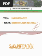 SACARIFICACIÓN