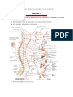 Anatomia II