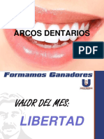 Arcos Dentarios Tema 3