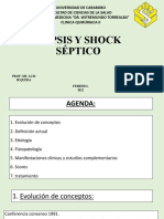 3.sépsis y Shock Séptico Laminas