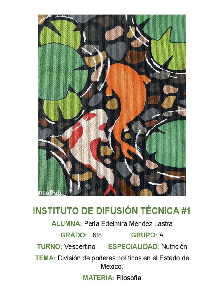 División Política PDF Judicaturas Legislatura