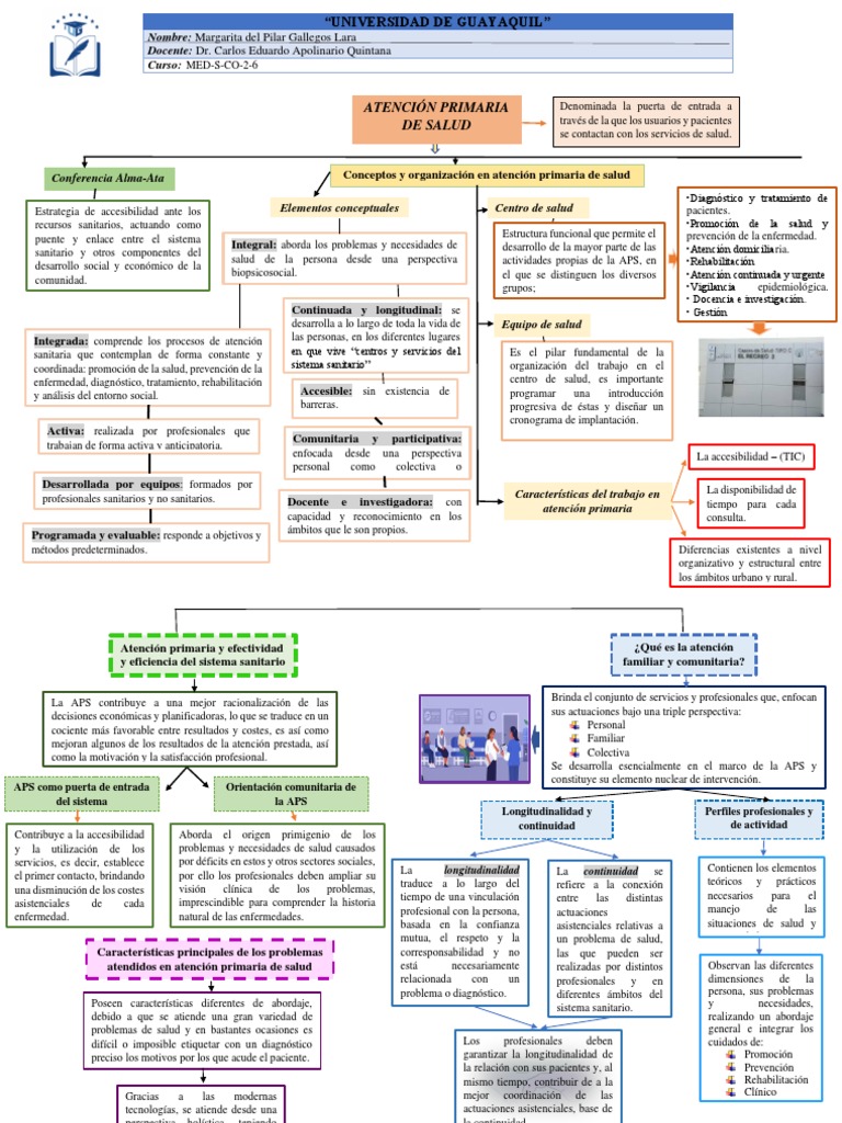 Mapa Conceptual de Atención Primaria en Salud | PDF | Cuidado de la salud
