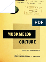 Melon Culture