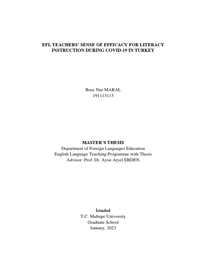 EFL Teachers' Literacy Efficacy in Turkey | PDF | Self Efficacy | Teachers