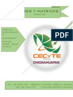 Matrices y Vectores-2