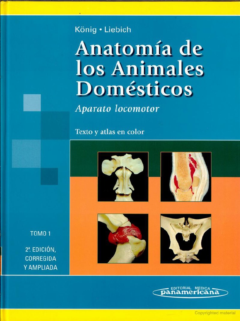 Anatomia Veterinaria Köning Tomo 1 Pdf