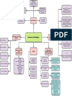 Mapa Mental Gerencia Estrategica CIPA 7