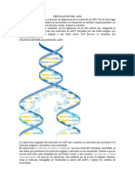 Replicación Del ADN