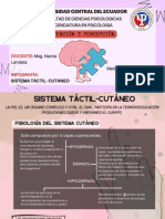 Infografía Del Sistema Táctil-Cutáneo