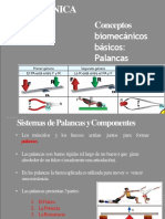 Palancas Biomecanicas
