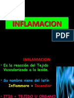10 Inflamacion