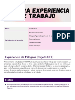 Primera Experiencia de Trabajo