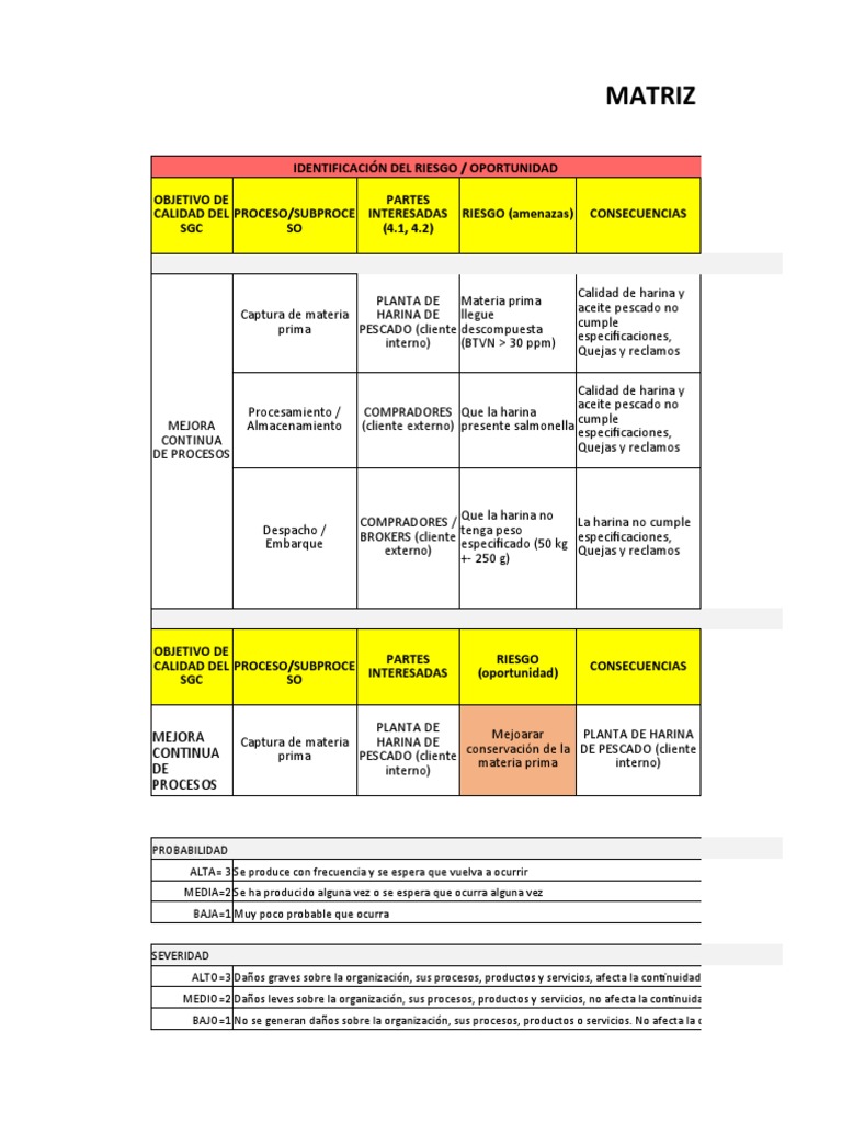 Matriz de Riesgos y Oportunidades | PDF | Riesgo