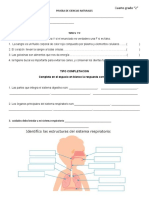 Prueba de Ciencias Naturales