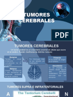 Diapositivas Tumores Cerebrales