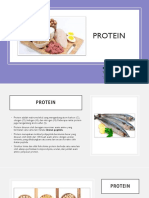  Protein
