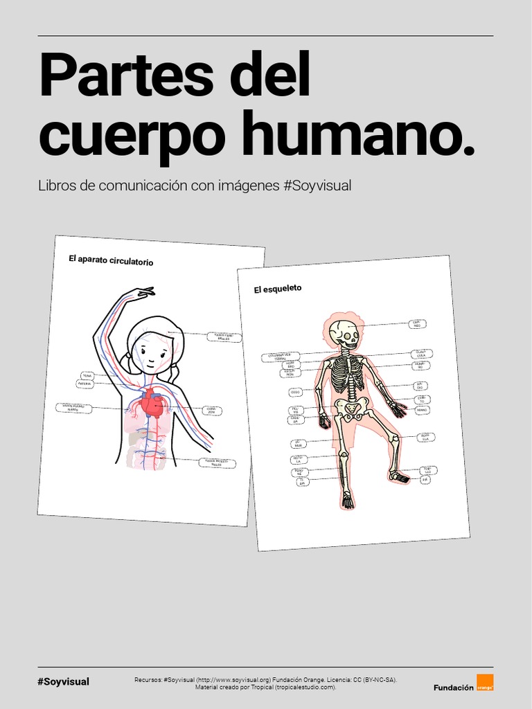 Libro de Comunicación. Partes Del Cuerpo Humano | Descargar gratis PDF ...