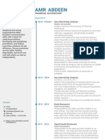 Amr Abdeen's CV-Financial Accountant