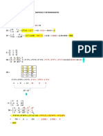 Matrices y Determinantes