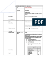 Actividades Desde El Dia 13 Al 17 de Marzo