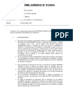 Informe Penal