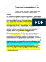 Amanda KR Nunes (2013)Análisis Morfológica e Funcional Del Proceso Espermatogénico en Cobayos