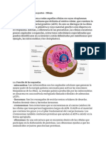 Guia Final Cs. Bio