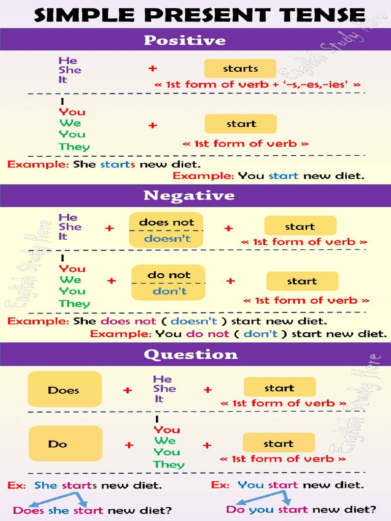 Present Simple Structure Table