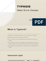 Typhoid 1