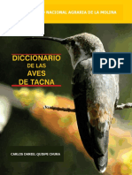 Aves de Tacna Carlos Quispe