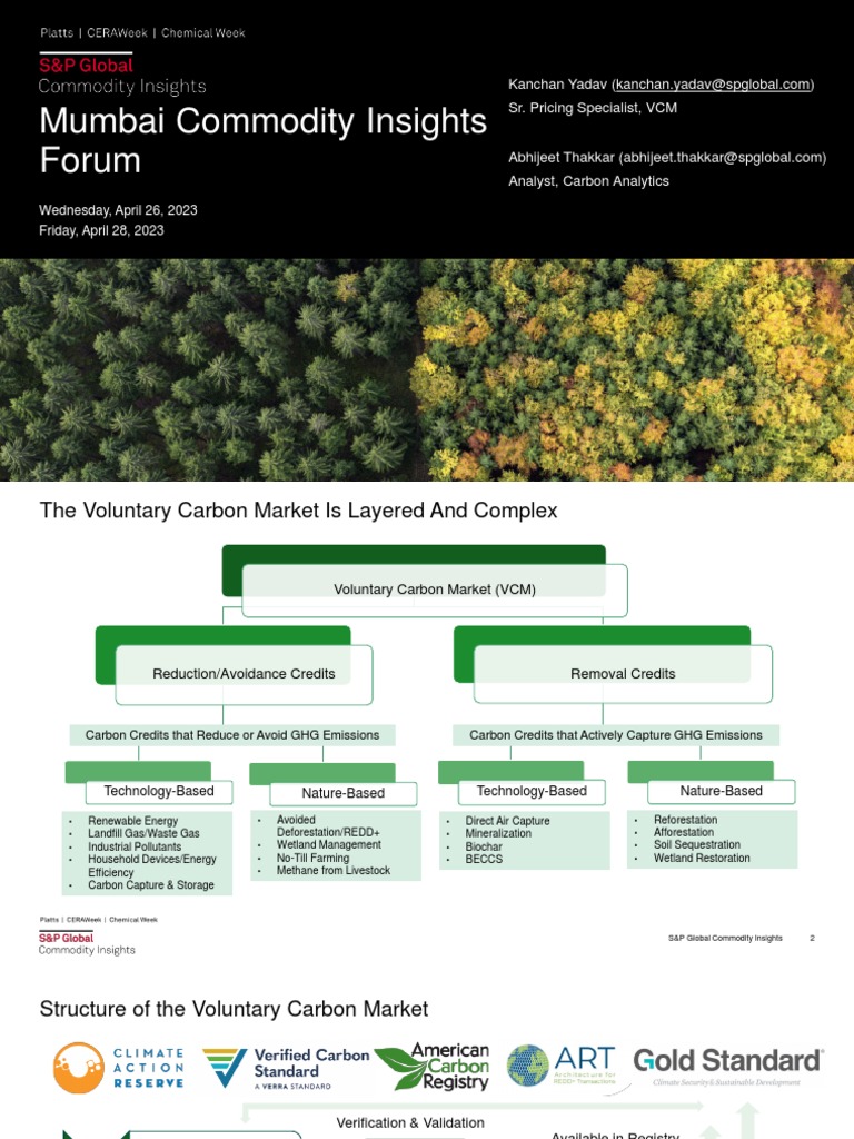 Voluntary Carbon Market Insights 2023 | PDF | Carbon Offset | Carbon ...