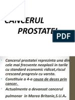 Cc. Prostatei