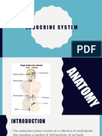 Endocrinesystem 180214021054