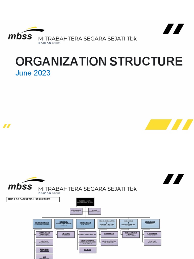 ORGANIZATION CHART 2023 visual data 2