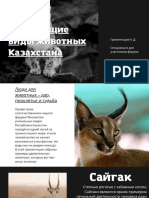 Исчезающие Виды Животных Казахстана