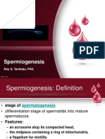 Dev Bio Lab Lecture6 Spermiogenesis