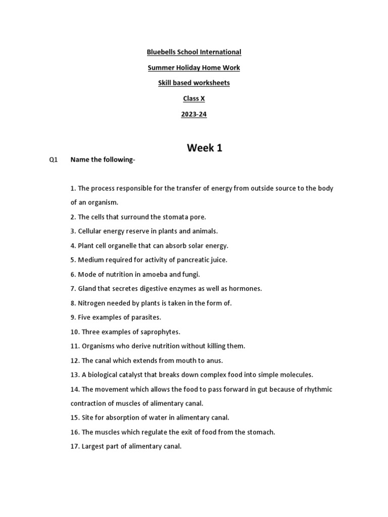 class 10 science holiday homework 2023