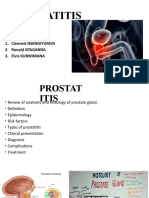 G 8 - Prostatitis