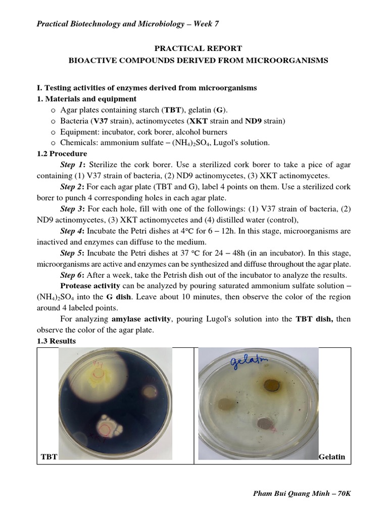 Enzyme and Antimicrobial Activity Analysis | PDF | Agar | Titration