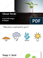 Plant Growth Stages Teacher Slides