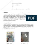 Relatório Microbiologia - Presença de Microrganismos No Ambiente