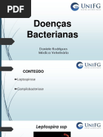 Aula 5 - Leptospirose e Campilobacteriose