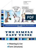 Simple Past Theory
