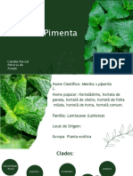 Seminário Bio Veg II