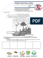 4º Ano - Ciências (Trabalho Avaliativo)