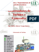 7 Gobernadores de Turbina y Generador