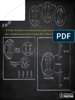 Spe Er 2023 PV XX v7 Lousa Bio PF Dig f01 c28