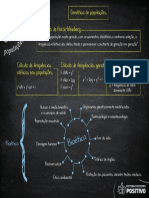 Spe NV 2022 em XX v8 Lousa Bio PF Dig f01 c32