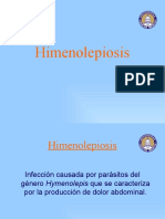 Himenolepiosis Sin Fotos
